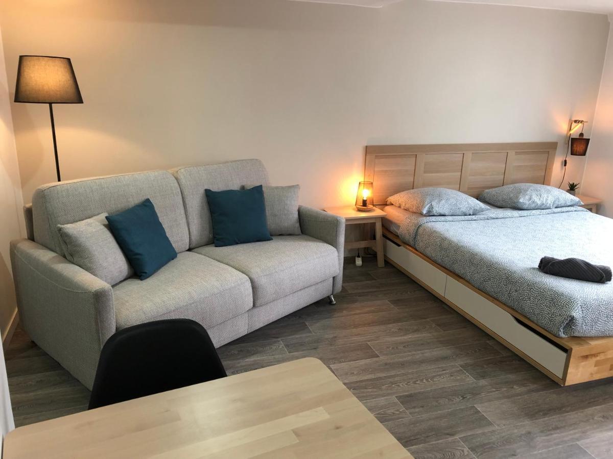 Jolis Au Coeur De Ferrand - Proche Jaude - Wifi Et Netflix Apartment