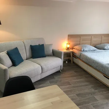 Jolis Appartements Au Coeur De Clermont Ferrand - Proche Jaude - Wifi Et Netflix Exterior photo