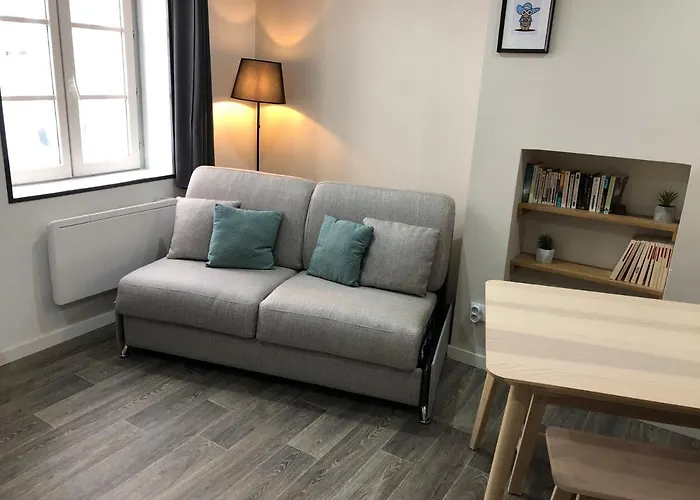 Jolis Appartements Au Coeur De Clermont Ferrand - Proche Jaude - Wifi Et Netflix