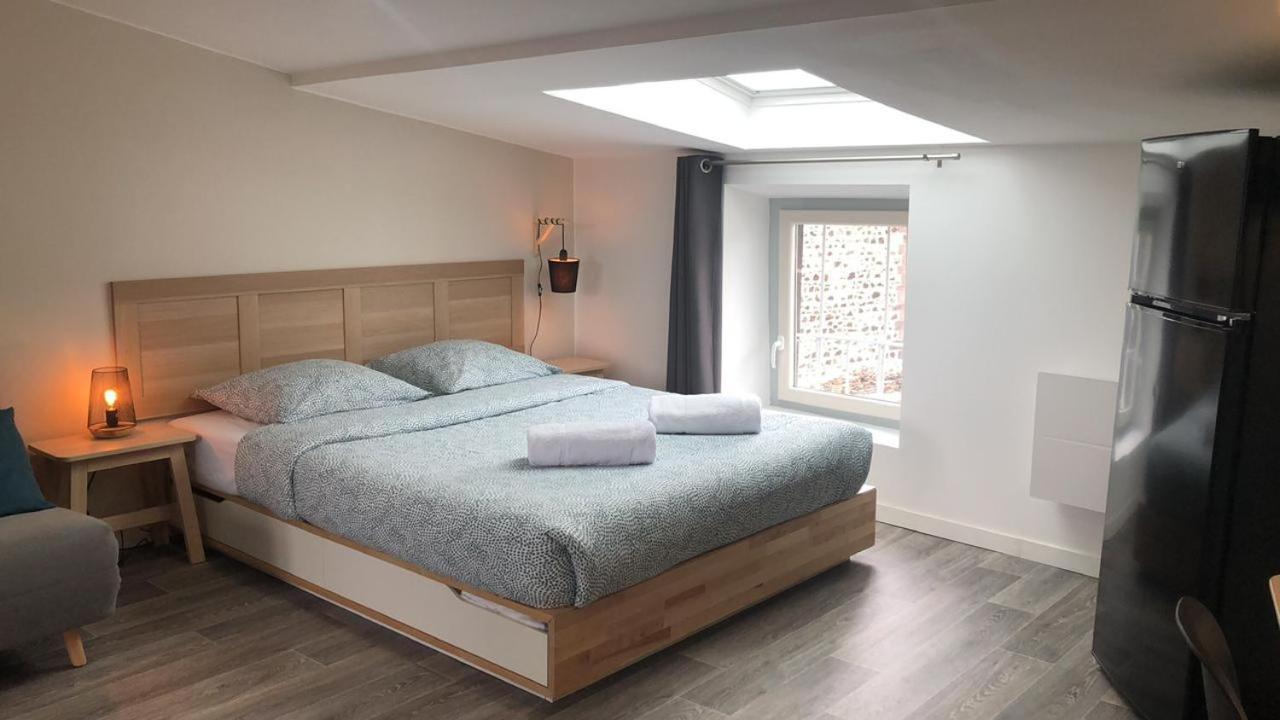 Jolis Au Coeur De Ferrand - Proche Jaude - Wifi Et Netflix * Clermont-Ferrand