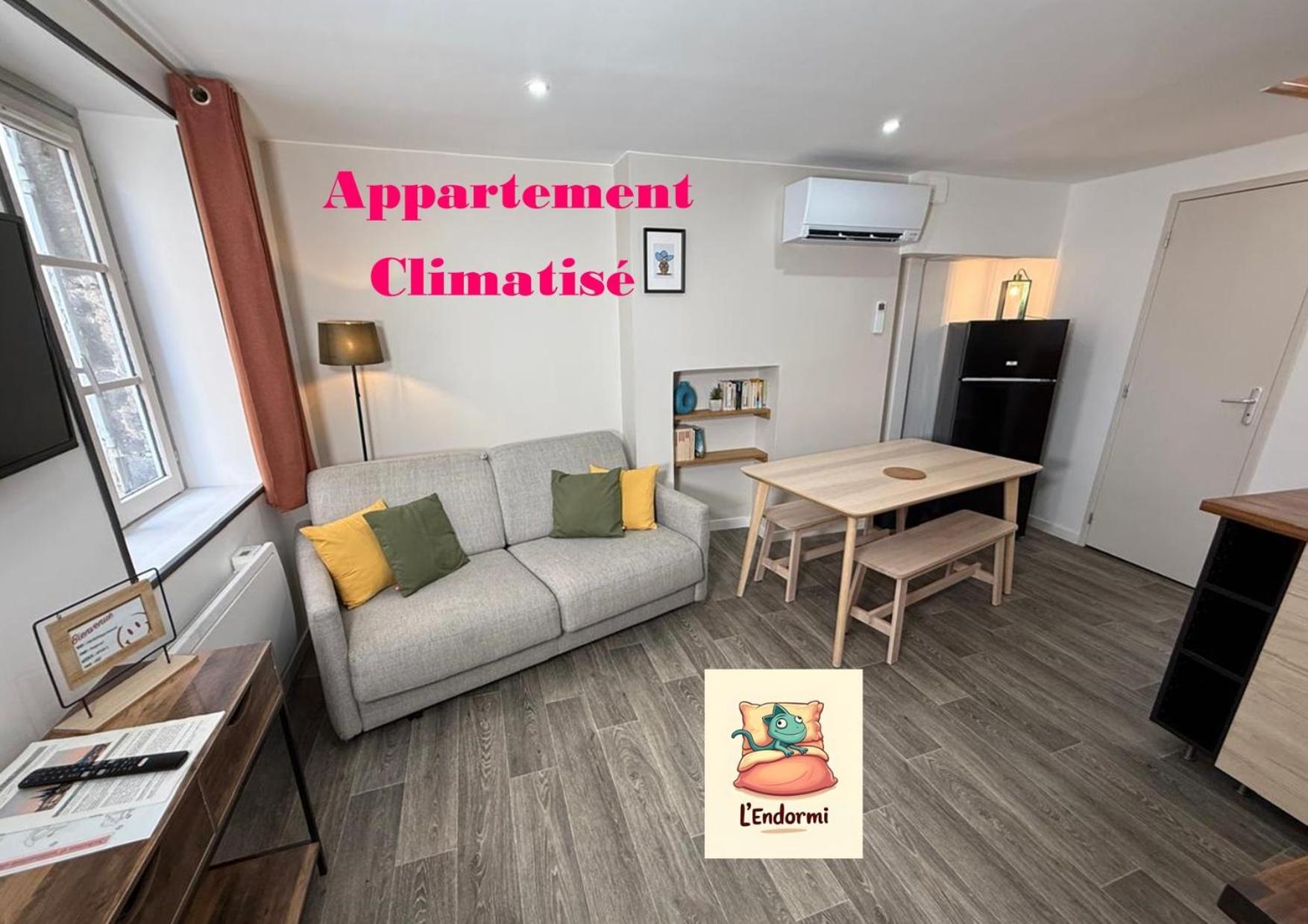 Apartamento L'Endormi - Centre Ville - Wifi Et Netflix Clermont-Ferrand
